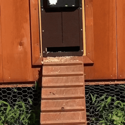 (🎉Flash Sale🎉)-Automatic Chicken Coop Door
