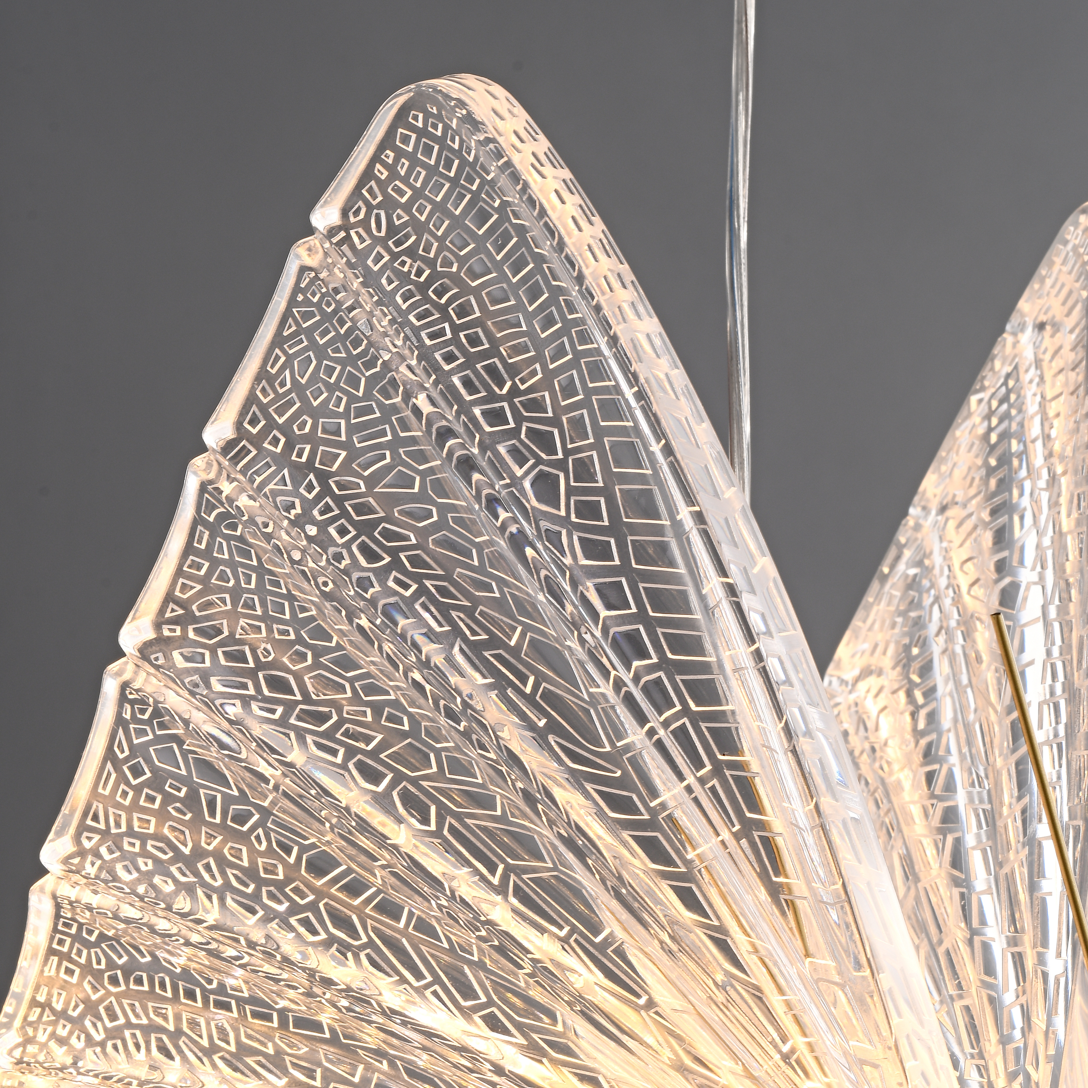 Acrylic butterfly LED pendant light