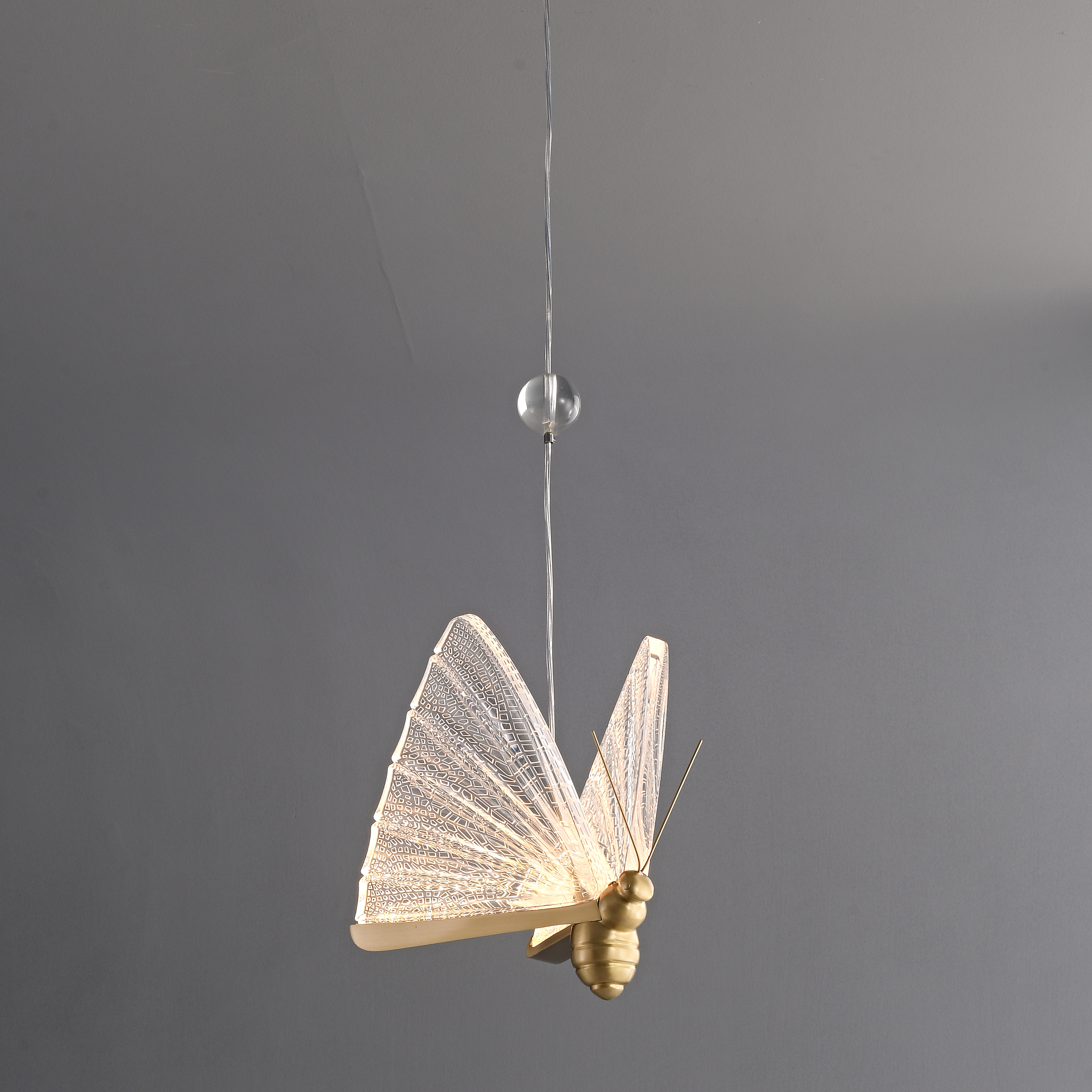 Acrylic butterfly LED pendant light