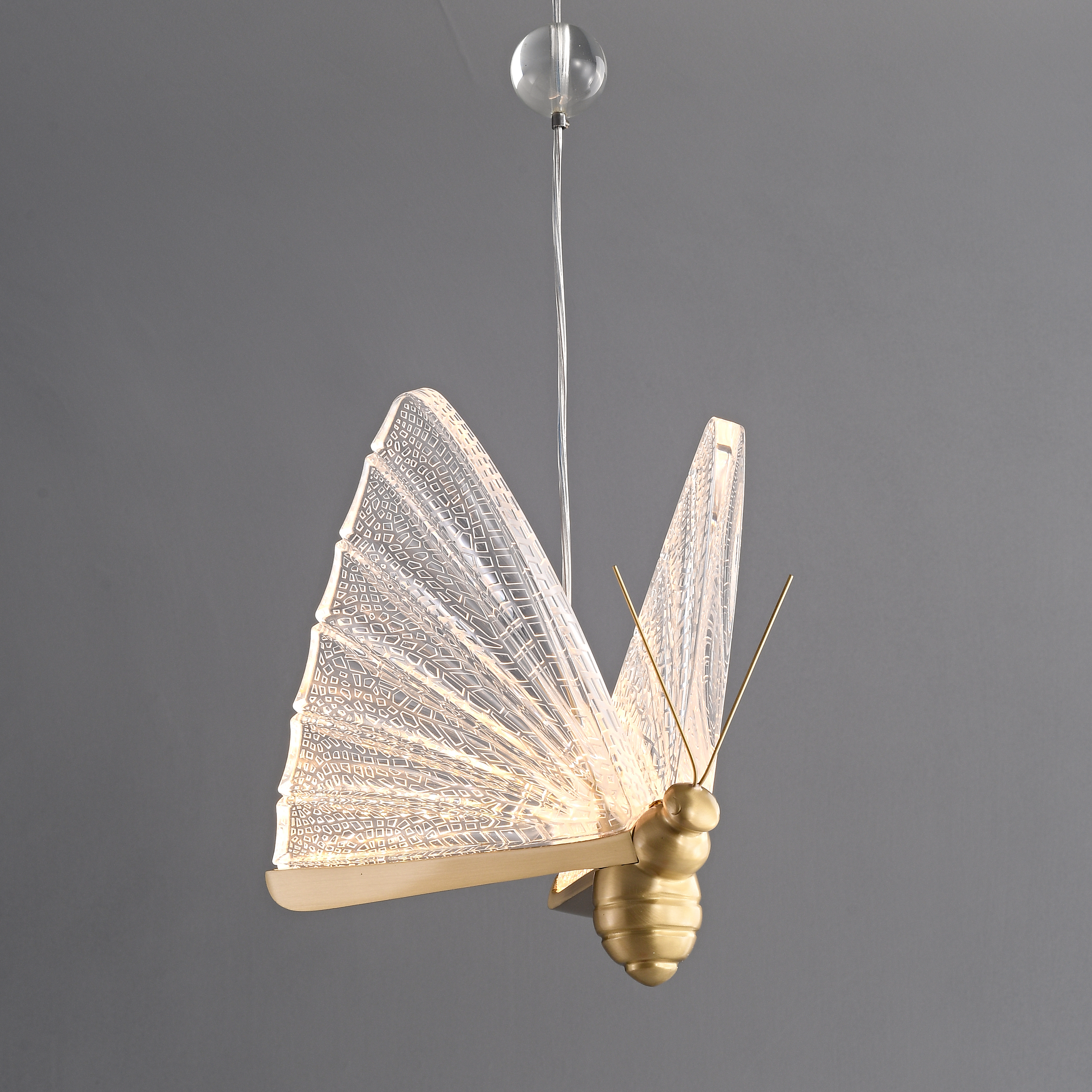 Acrylic butterfly LED pendant light