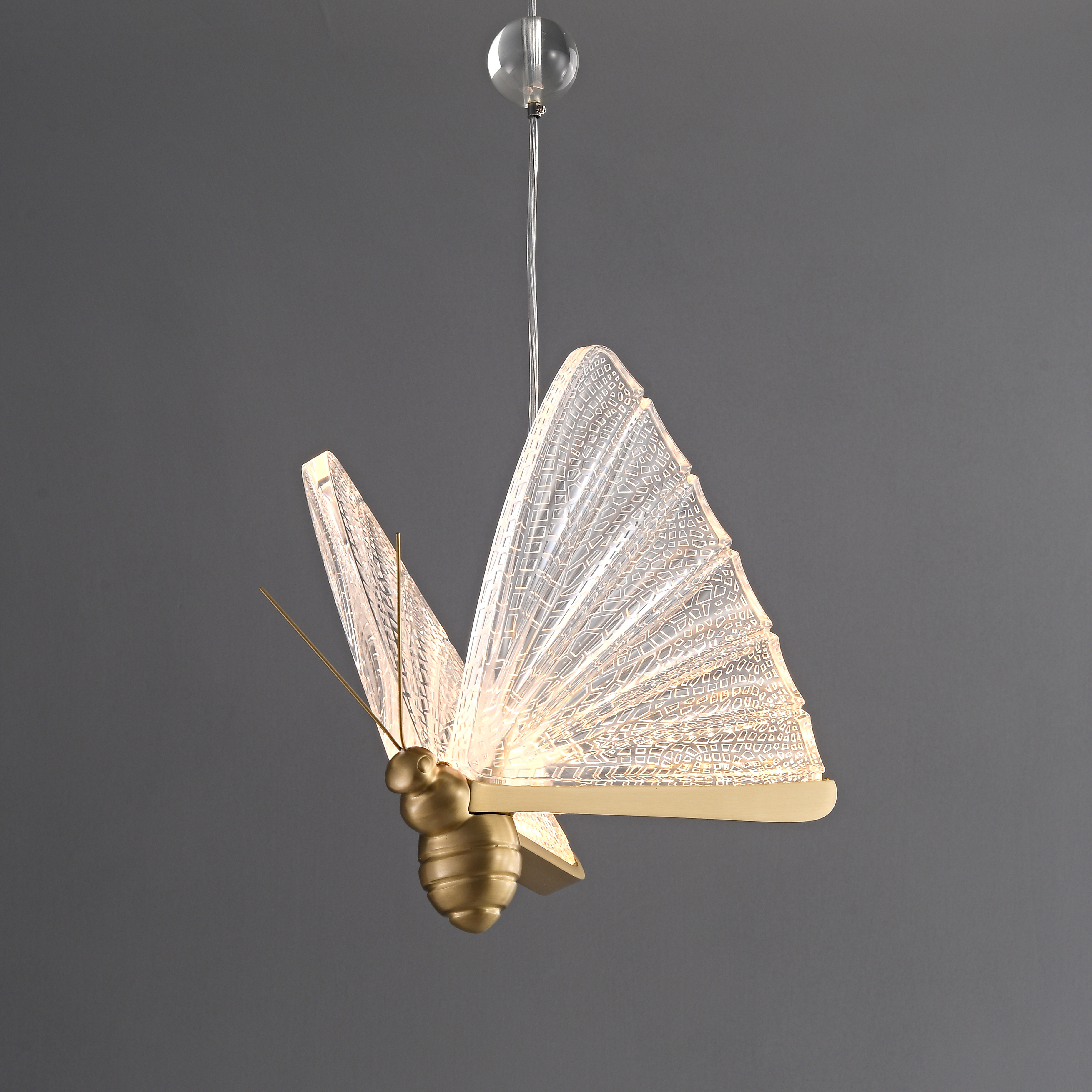Acrylic butterfly LED pendant light
