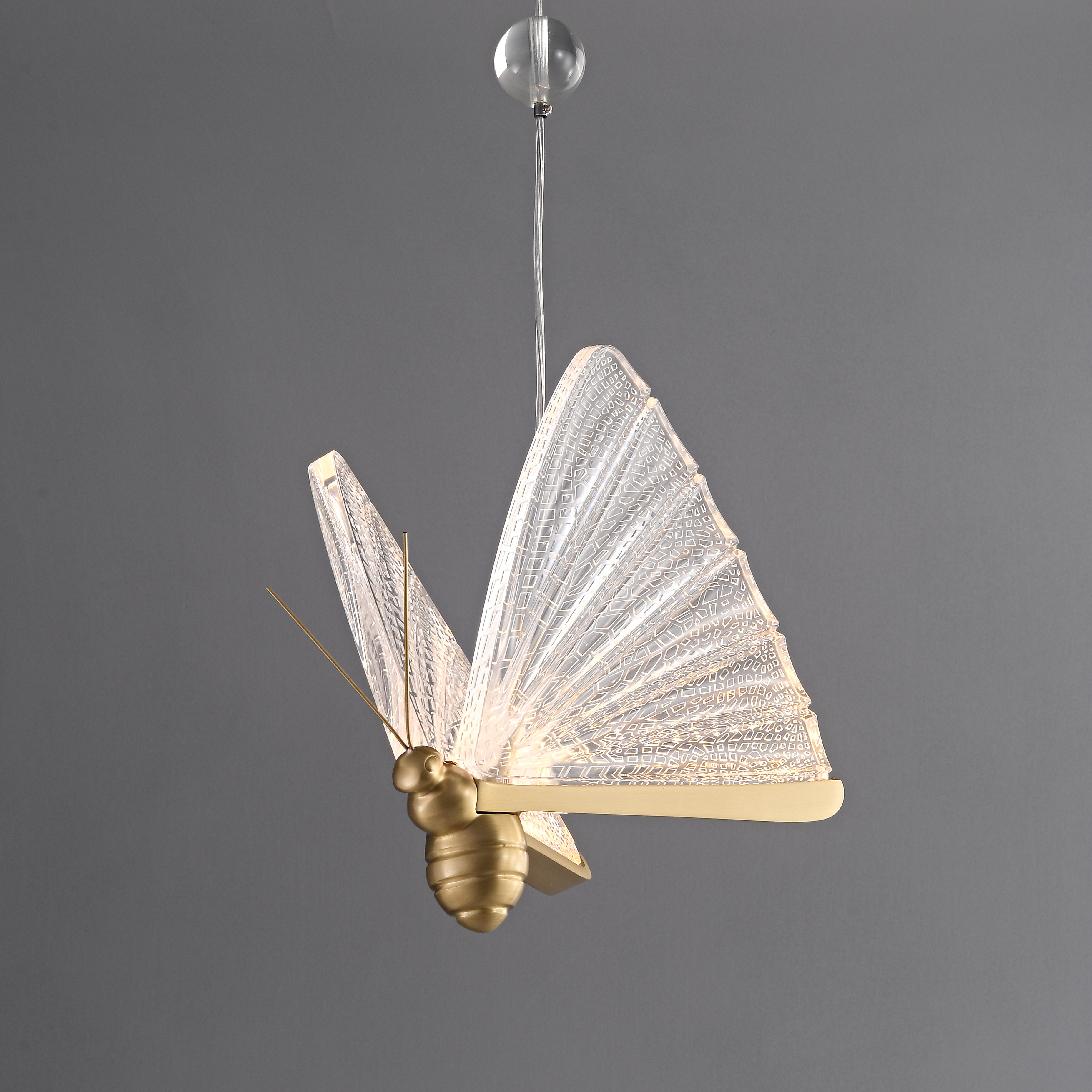 Acrylic butterfly LED pendant light
