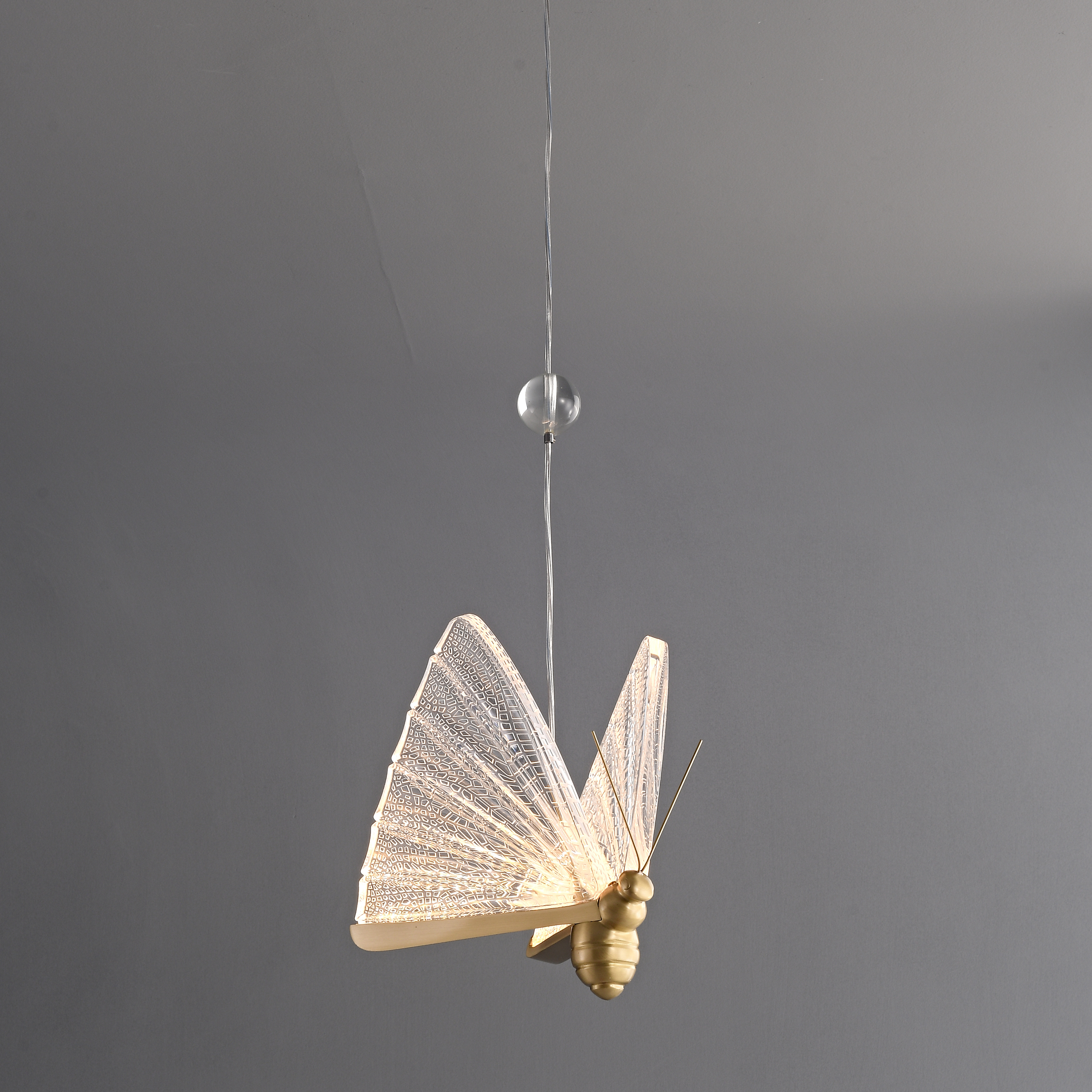 Acrylic butterfly LED pendant light