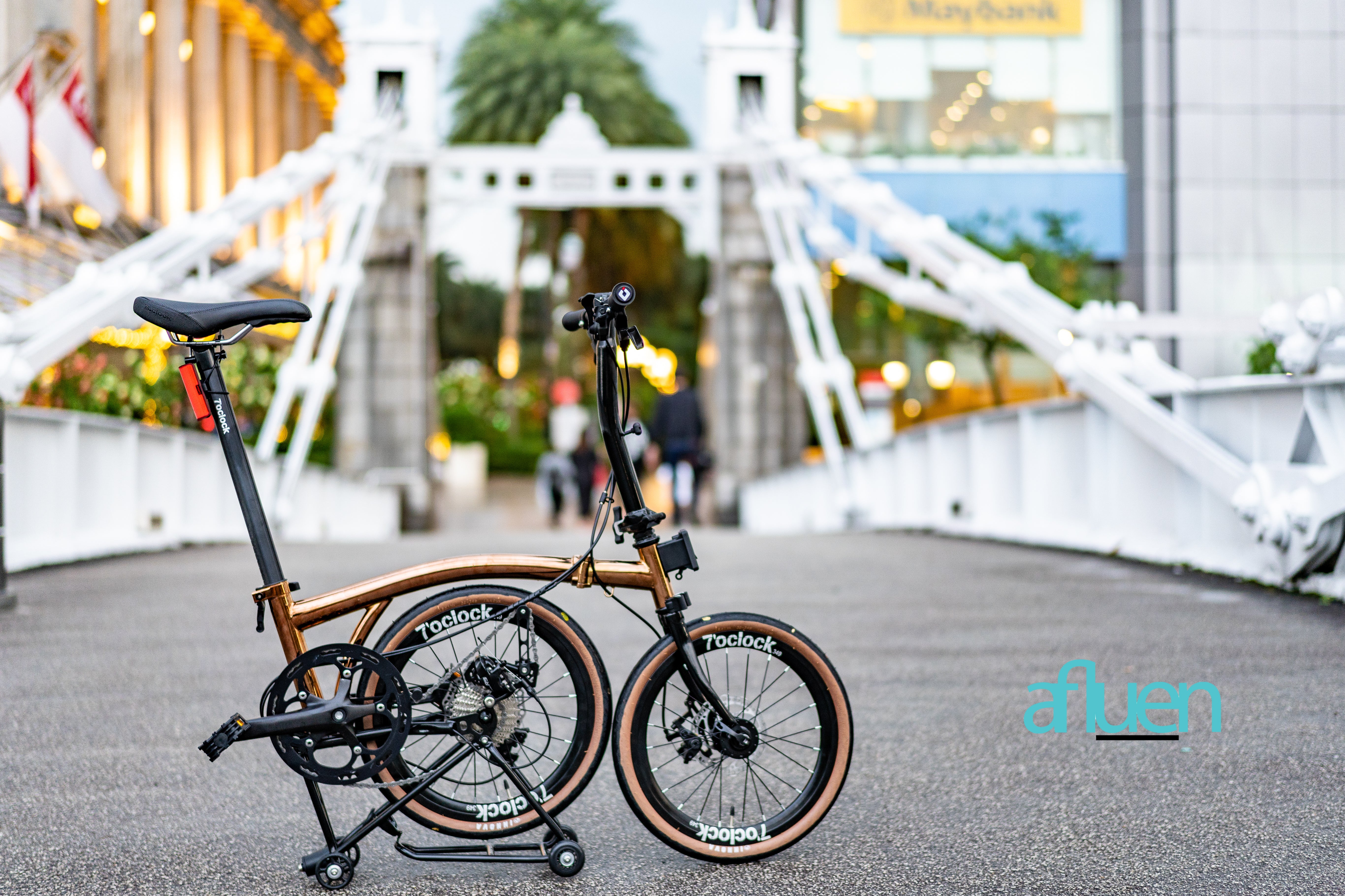 Bicicleta plegable Avro Foldie – 16 pulgadas, 9 velocidades, freno de disco