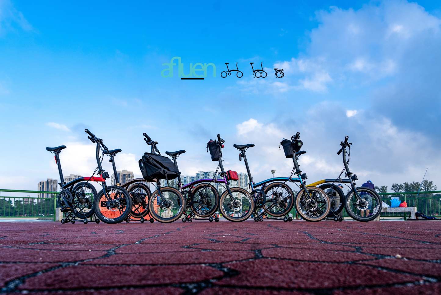Bicicleta plegable Avro Foldie – 16 pulgadas, 9 velocidades, freno de disco