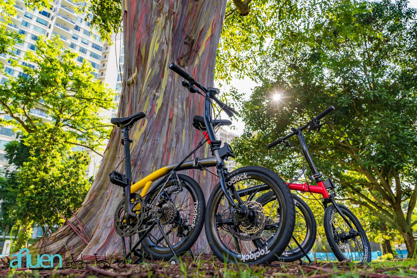 Bicicleta plegable Avro Foldie – 16 pulgadas, 9 velocidades, freno de disco