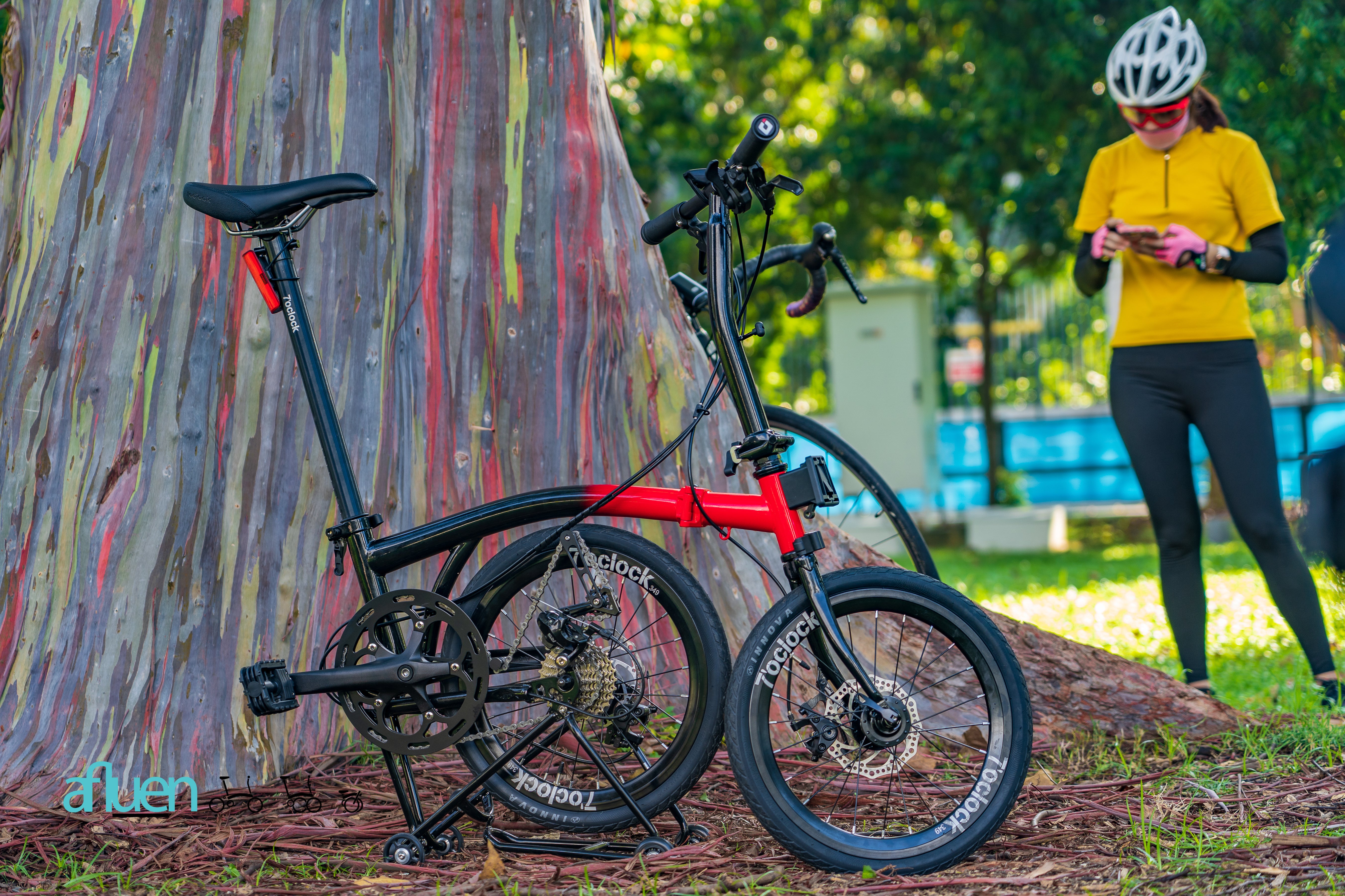 Bicicleta plegable Avro Foldie – 16 pulgadas, 9 velocidades, freno de disco