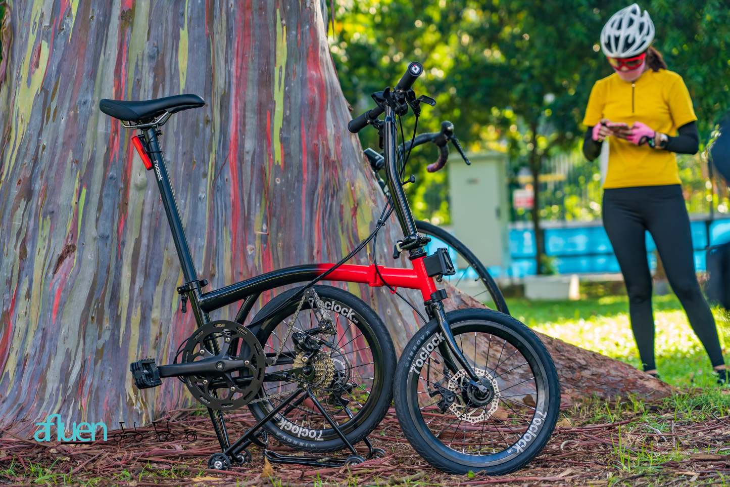Bicicleta plegable Avro Foldie – 16 pulgadas, 9 velocidades, freno de disco