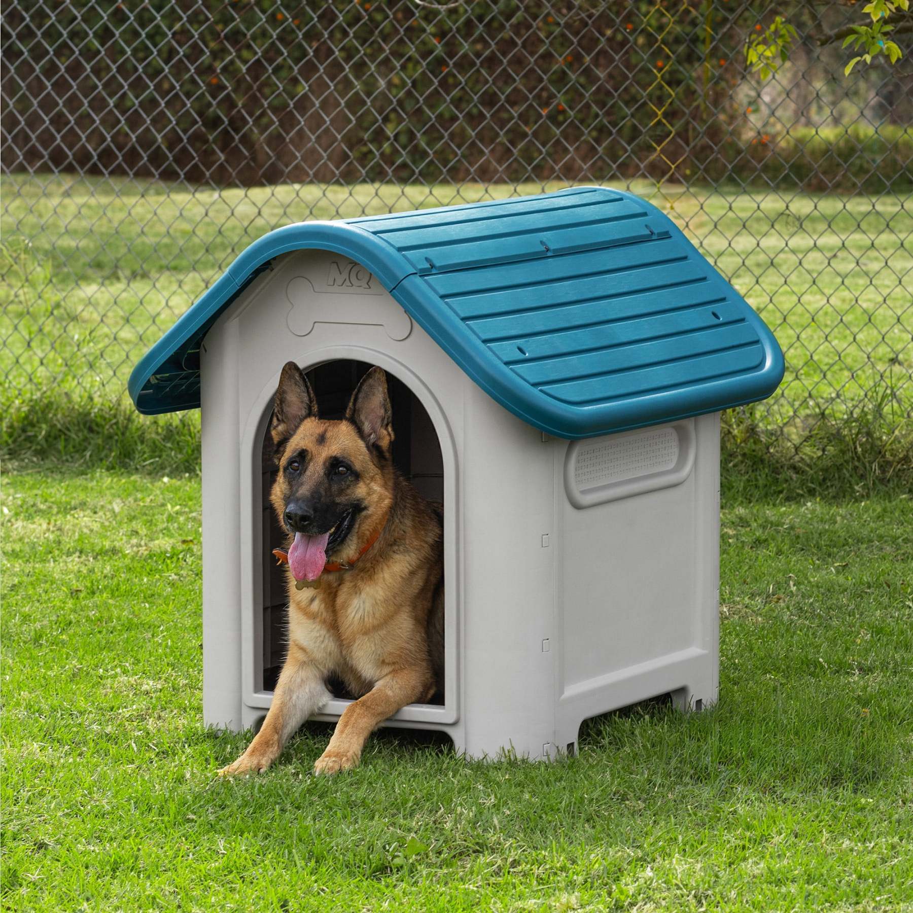 Casa Para Perro Grande Turquesa