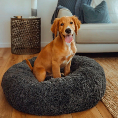 furbed puppy
