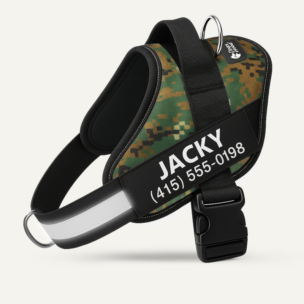 🐕LAST DAY: 50% OFF-No Pull Personalized Dog Harness