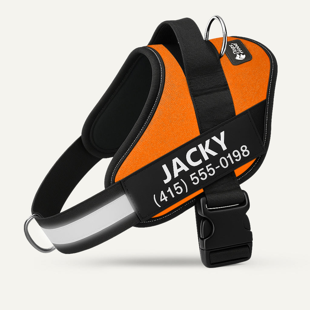 🐕LAST DAY: 50% OFF-No Pull Personalized Dog Harness