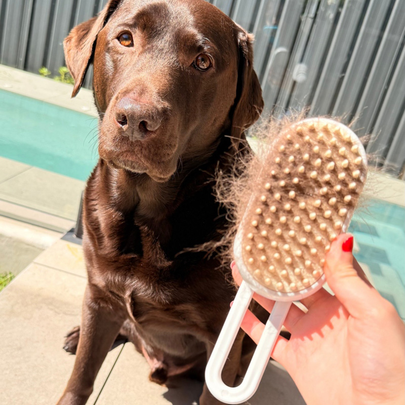 3-in-1 Electric Pet Steam Brush
