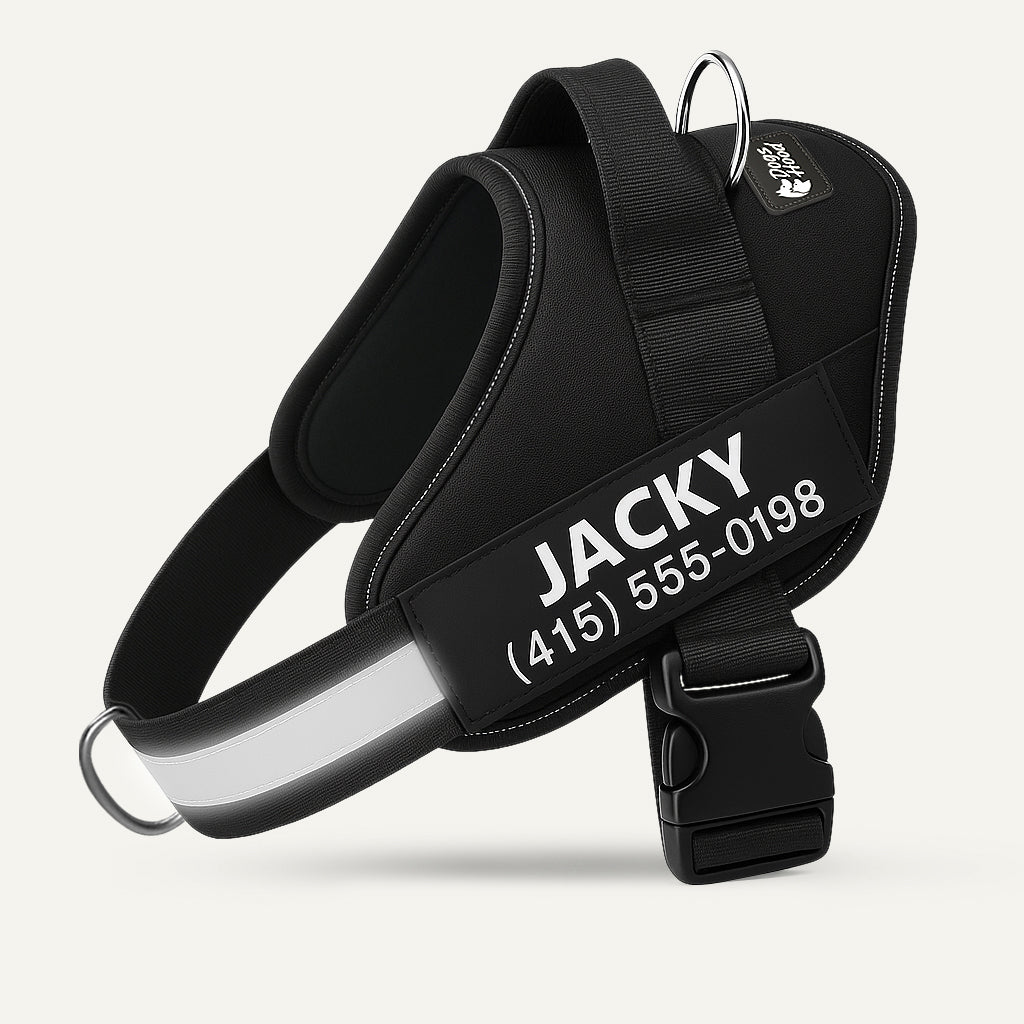 🐕LAST DAY: 50% OFF-No Pull Personalized Dog Harness