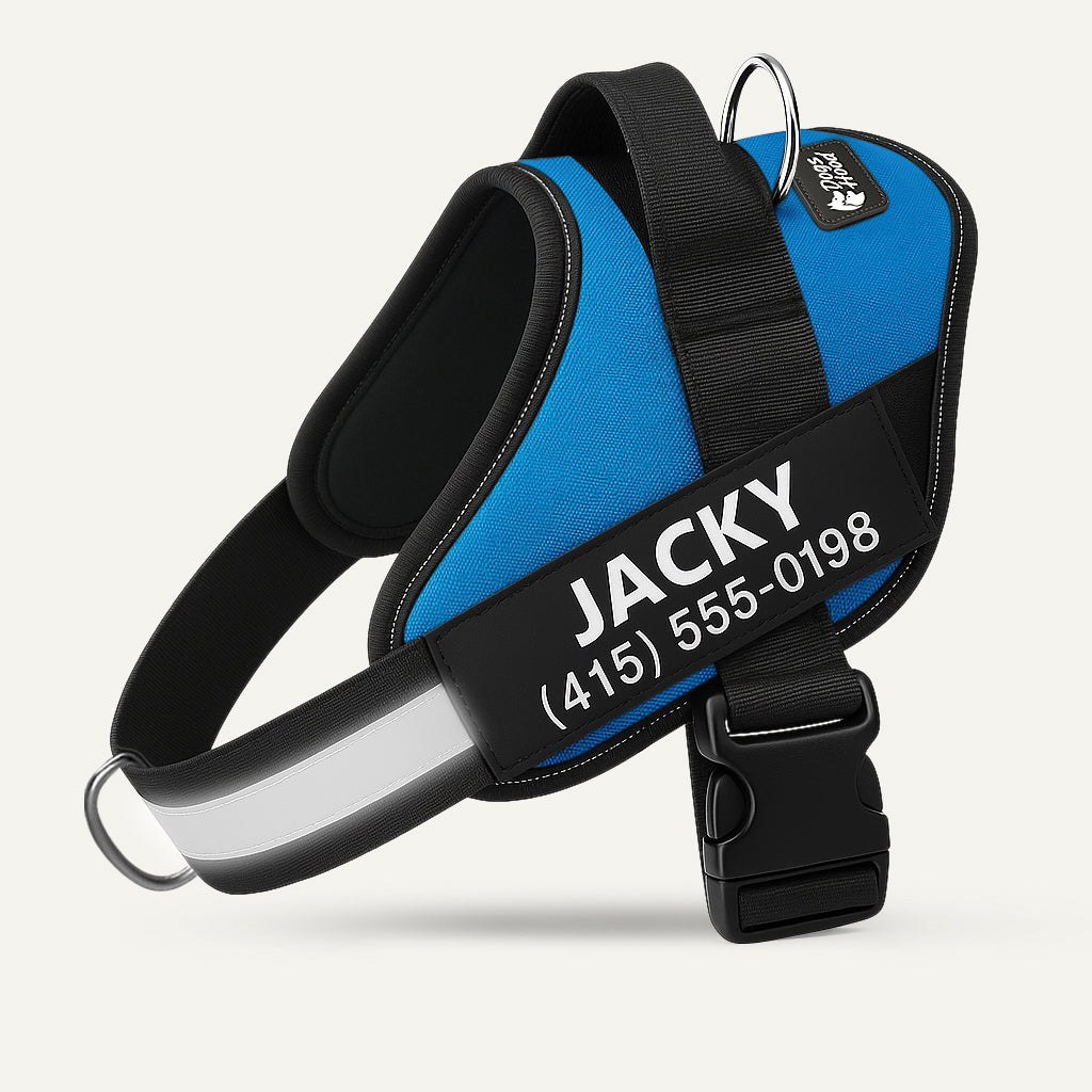 🐕LAST DAY: 50% OFF-No Pull Personalized Dog Harness