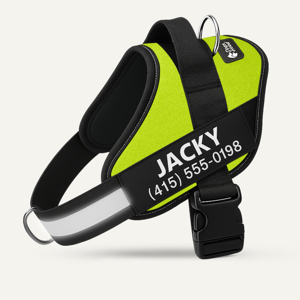 🐕LAST DAY: 50% OFF-No Pull Personalized Dog Harness