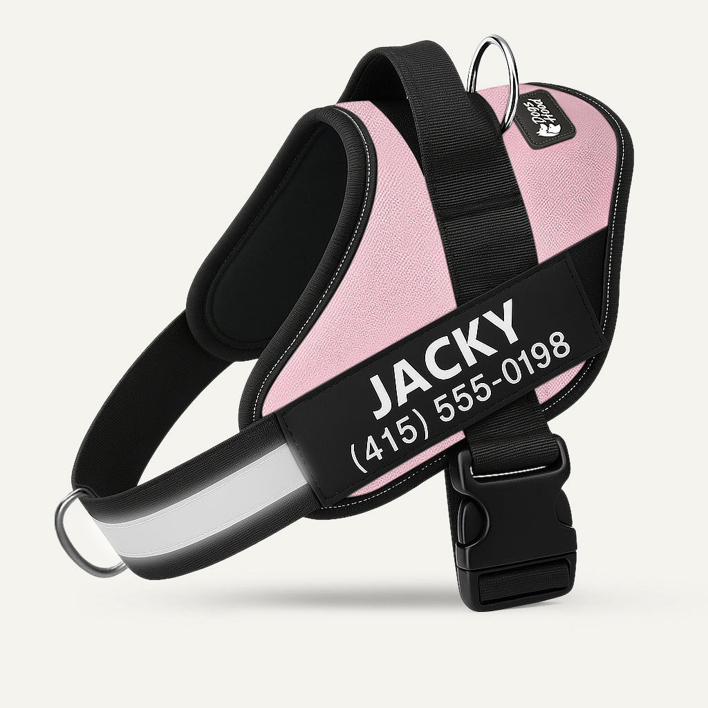 🐕LAST DAY: 50% OFF-No Pull Personalized Dog Harness