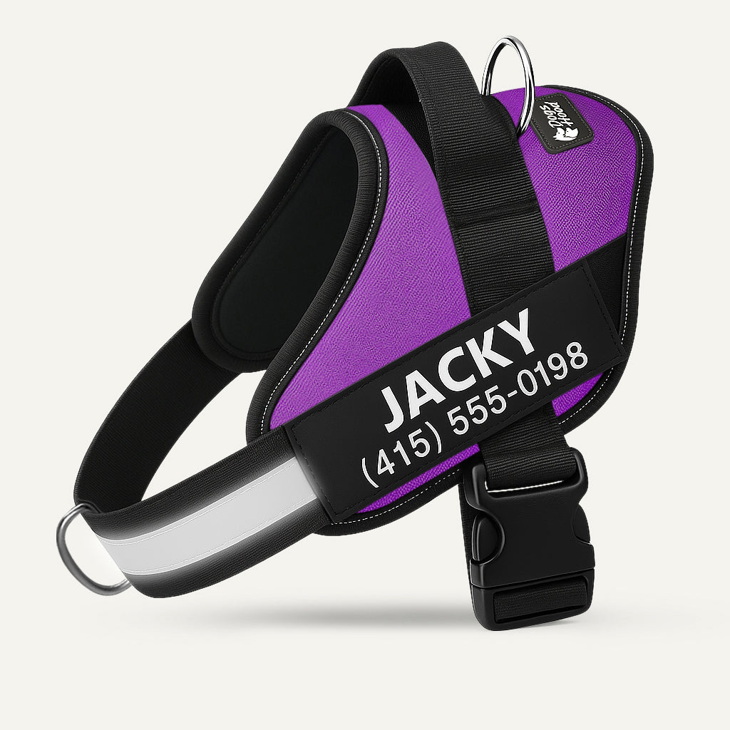 🐕LAST DAY: 50% OFF-No Pull Personalized Dog Harness