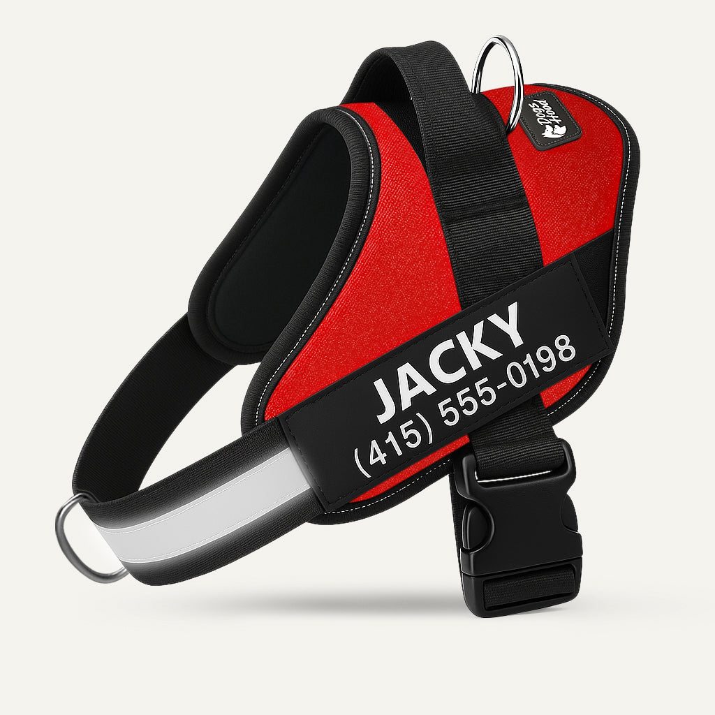 🐕LAST DAY: 50% OFF-No Pull Personalized Dog Harness
