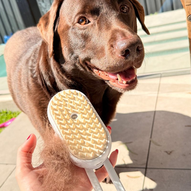 3-in-1 Electric Pet Steam Brush