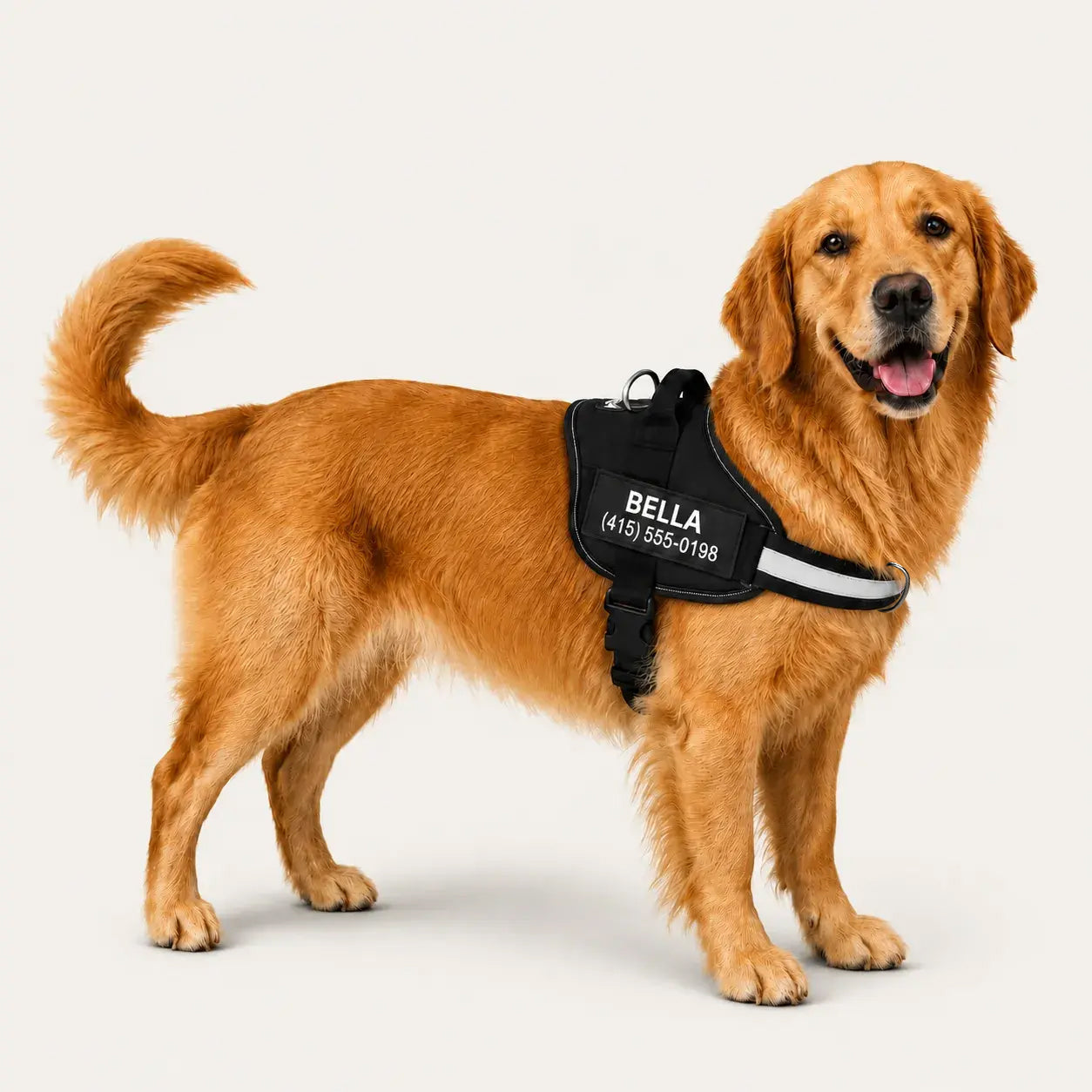 🐕LAST DAY: 50% OFF-No Pull Personalized Dog Harness