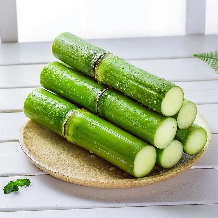 🌱 Grow Your Own Sugarcane – High Germination Seeds ✨ for Easy Home Gardens 🌿