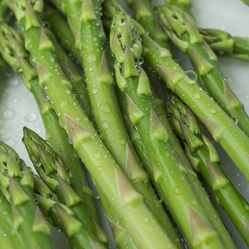 ✅🌱Low-Fat High-Fiber Asparagus Seeds-Top Choice for Weight Loss Veggies🔥
