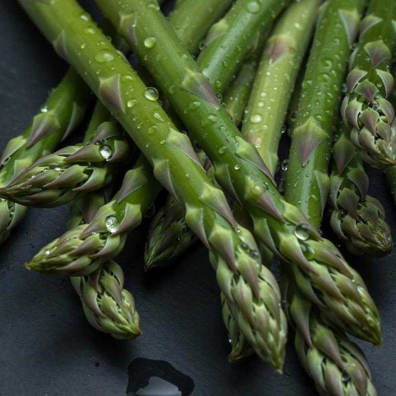 ✅🌱Low-Fat High-Fiber Asparagus Seeds-Top Choice for Weight Loss Veggies🔥