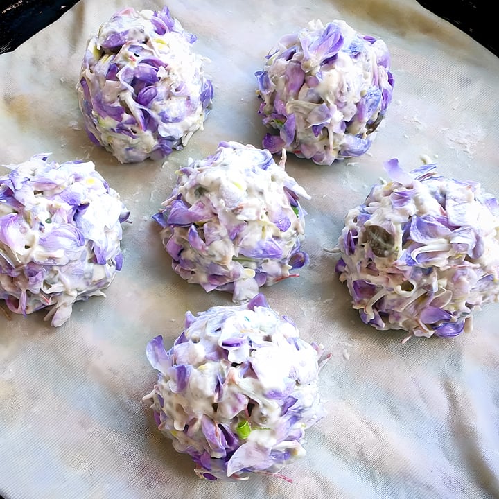 🌺WISTERIA: Cascading Garden Beauty All Year