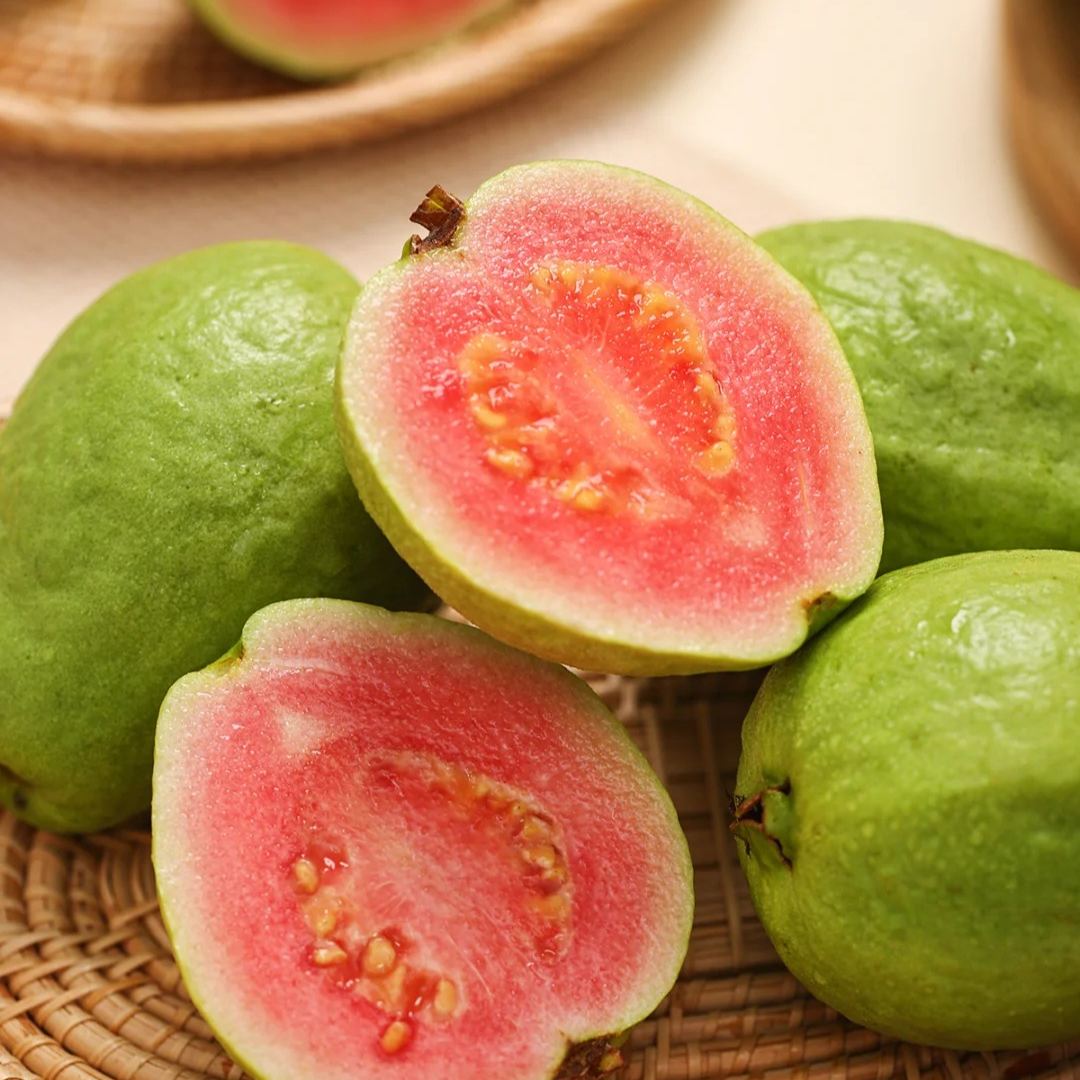 🌱From Seed to Fruit: Grow Pink Guava Anywhere❤️