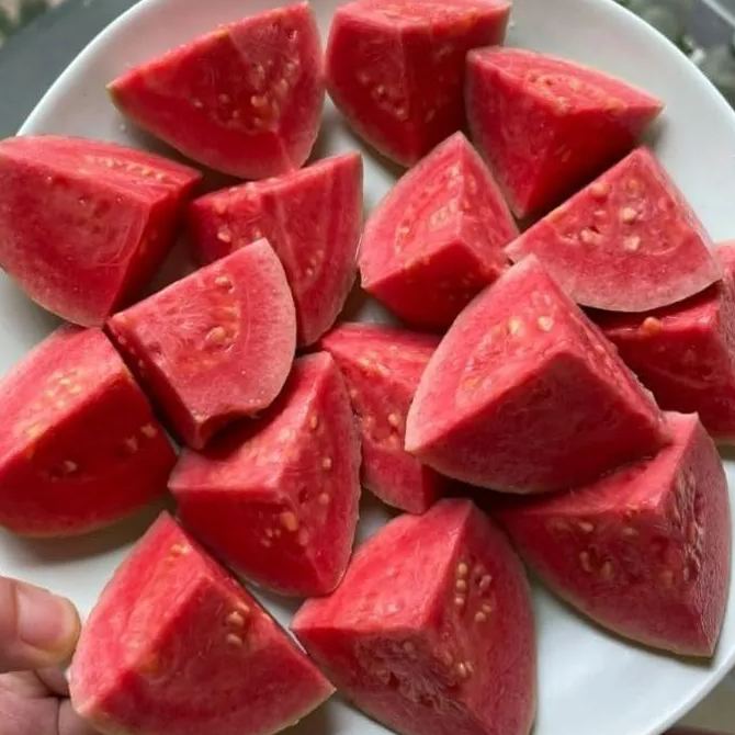 Pink Guava Seeds for Planting- Suitable for Pots,Greenhouses, and Outdoor Gardens