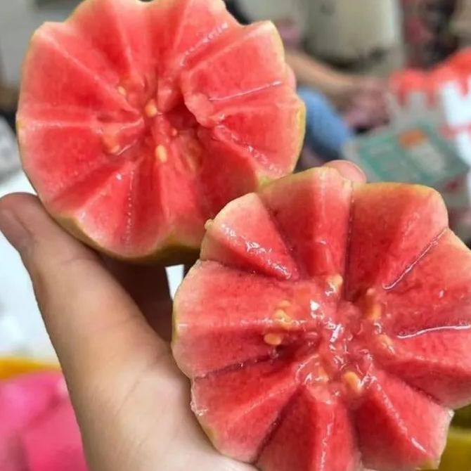 Pink Guava Seeds for Planting- Suitable for Pots,Greenhouses, and Outdoor Gardens