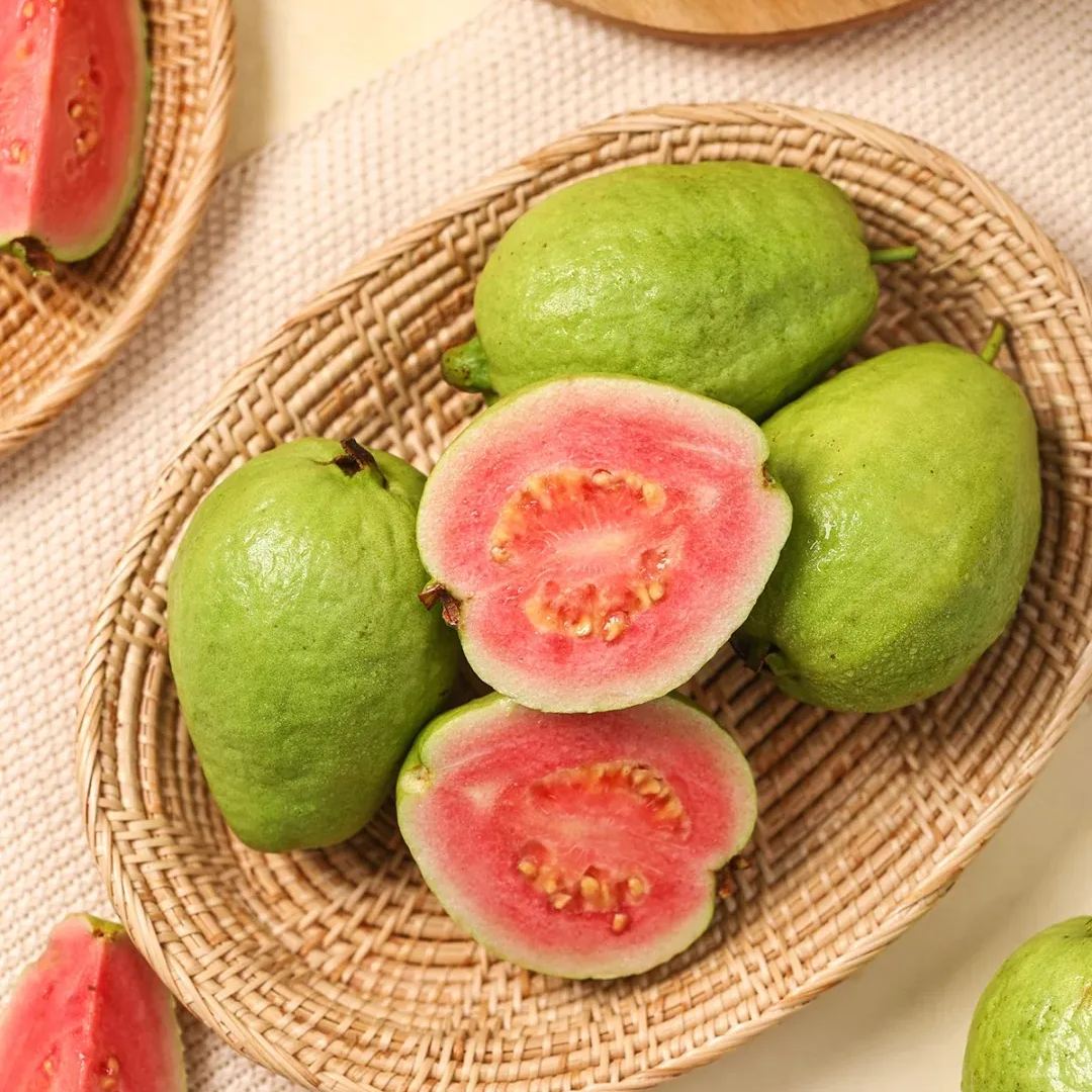 🌱From Seed to Fruit: Grow Pink Guava Anywhere❤️