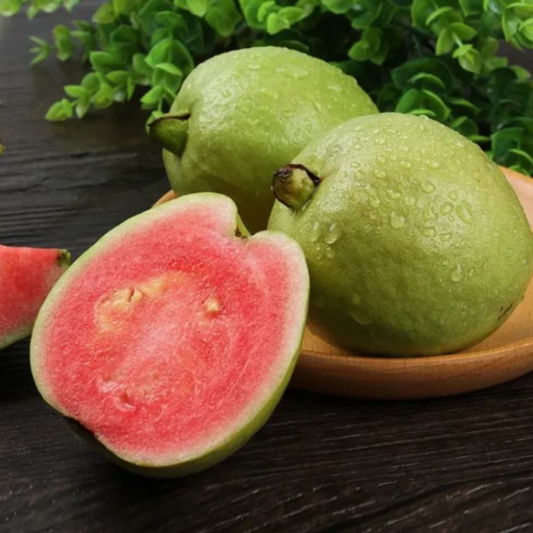 Pink Guava Seeds for Planting- Suitable for Pots,Greenhouses, and Outdoor Gardens