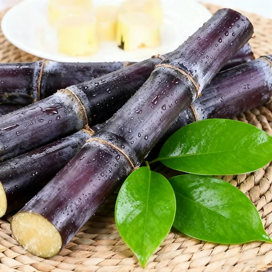 🌿🍬 Sugarcane Collection – Purple Cane & Yellow Cane Varieties for Home Growing