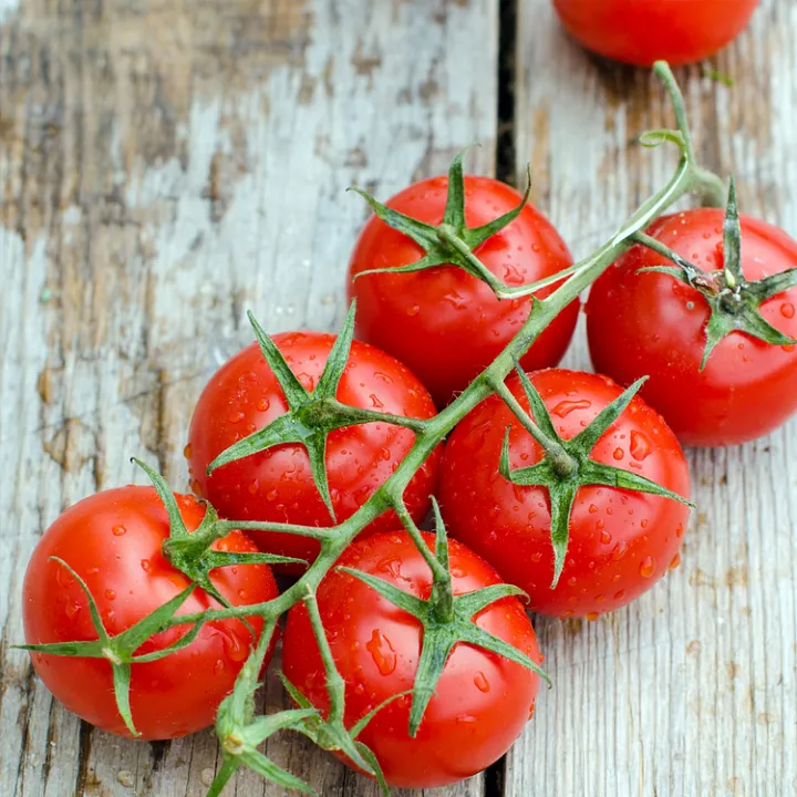 Dwarf Tomatoes Seeds
