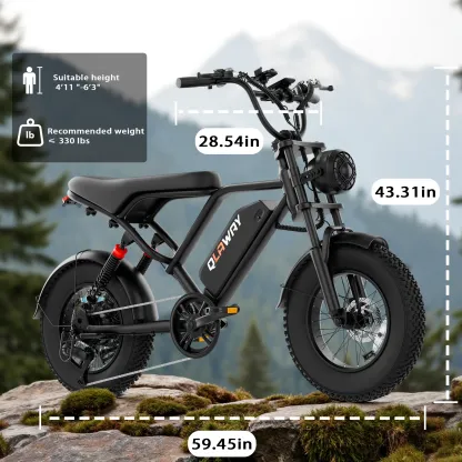 Bicicleta eléctrica, equipada con cuadro de acero de alto carbono, sistema de suspensión completa, velocidad máxima de 25 mph, 48 V 648 Wh, autonomía con asistencia al pedaleo de 30 a 70 millas, neumáticos todoterreno de 16 pulgadas. Motocicleta todoterre