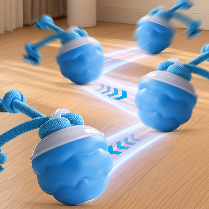 Smart Automatic Pet Play Ball