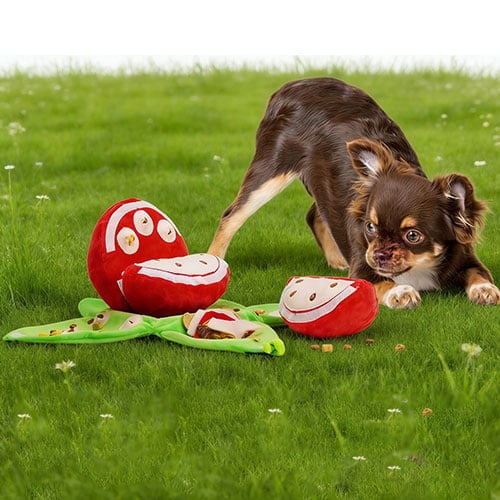 Interactive Snuffle Toy for Dogs - Fruit Puzzle Plush with Hiding Compartments