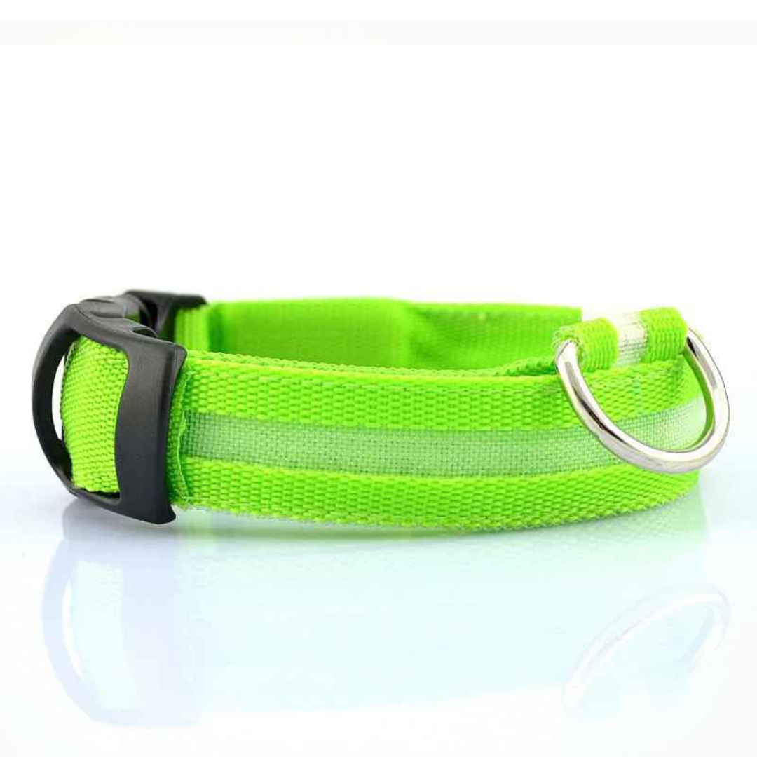 Rechargeable LED Dog Collar (via USB)