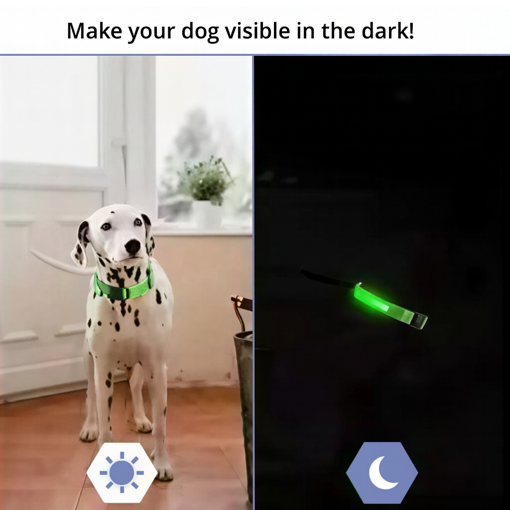 Rechargeable LED Dog Collar (via USB)