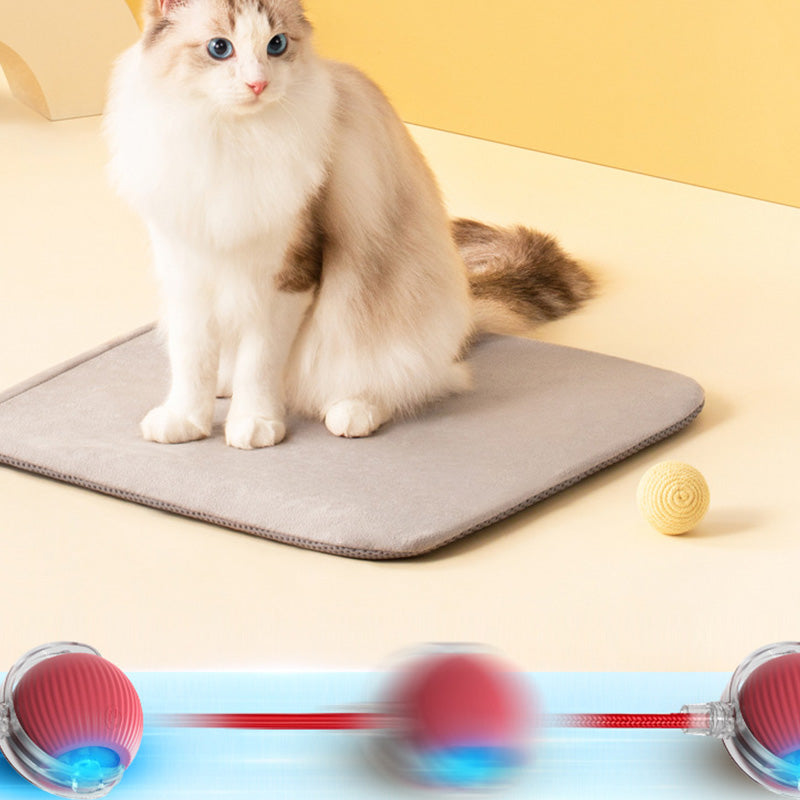 Smart Interactive Pet Play Ball