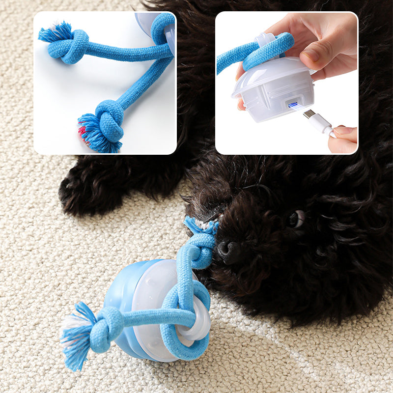 Smart Automatic Pet Play Ball