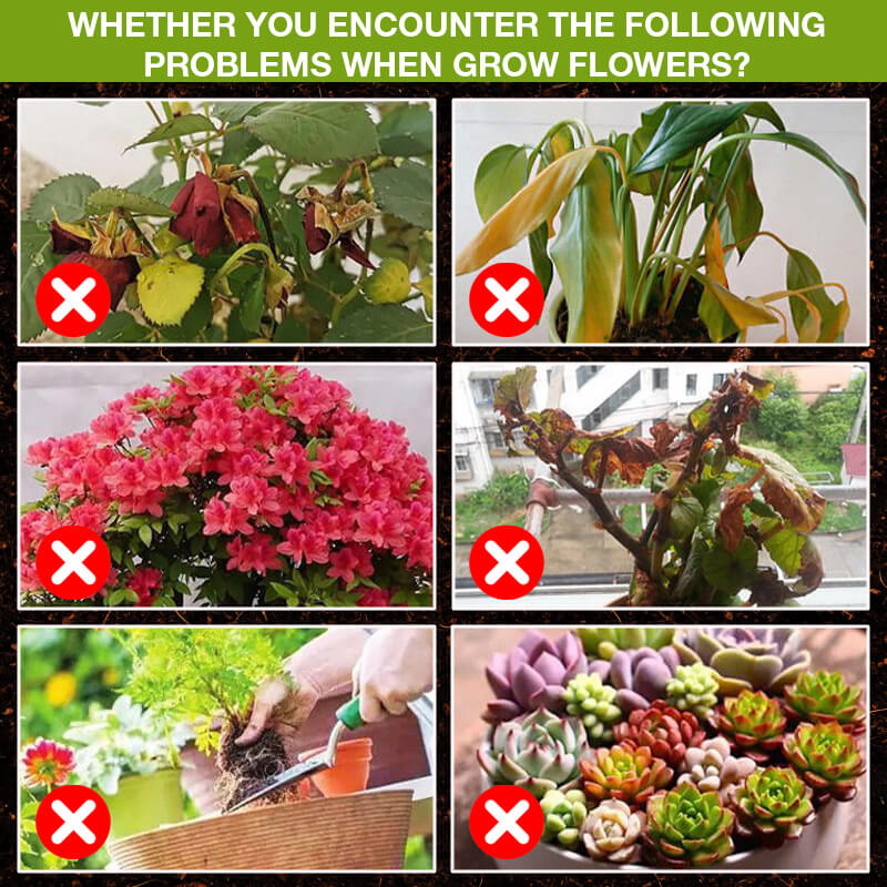 🌈Plant Growth Promoter🌈