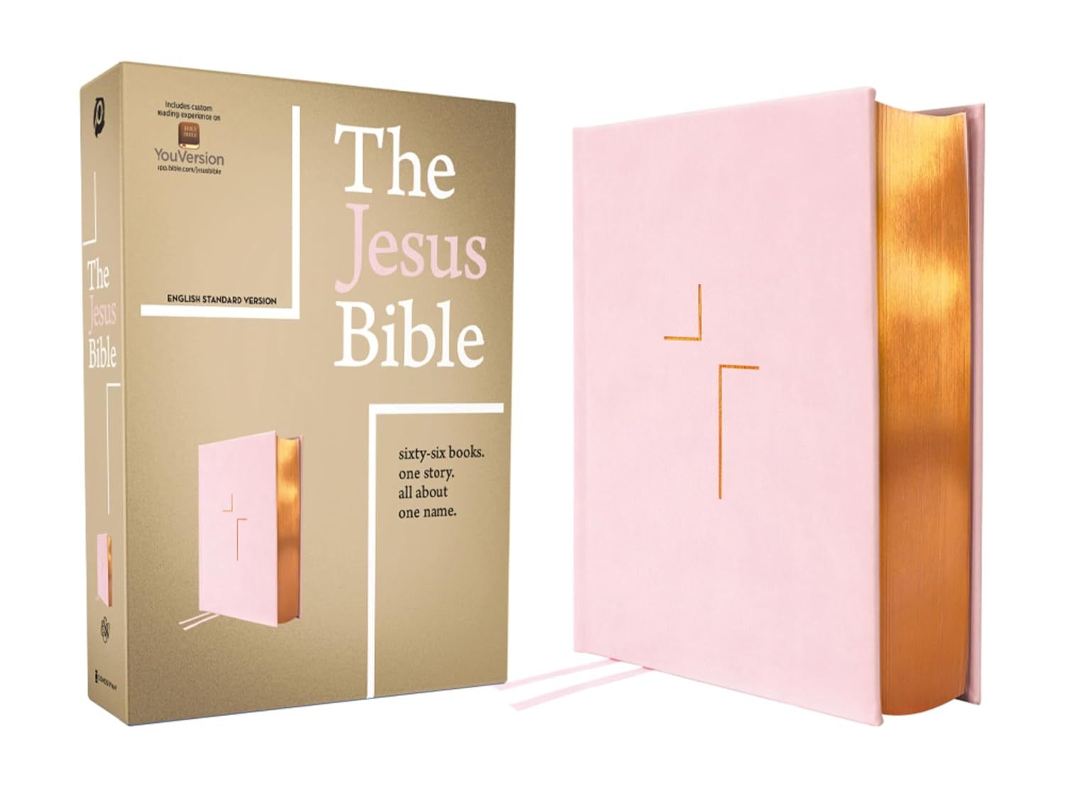 The Jesus Bible, NIV Edition
