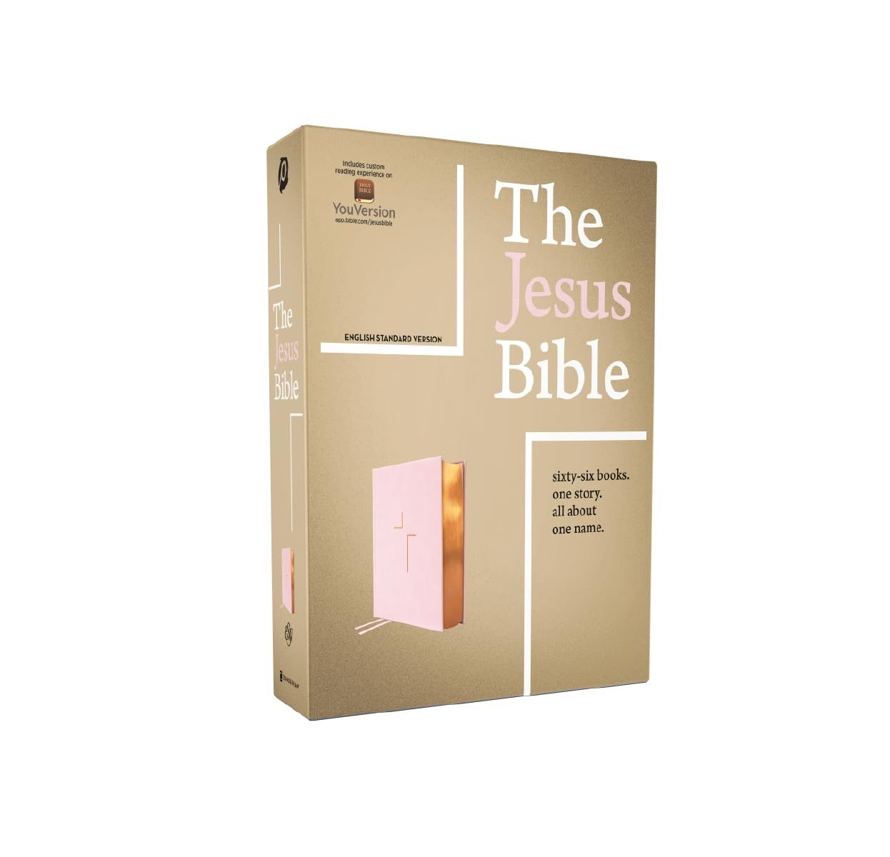 The Jesus Bible, NIV Edition