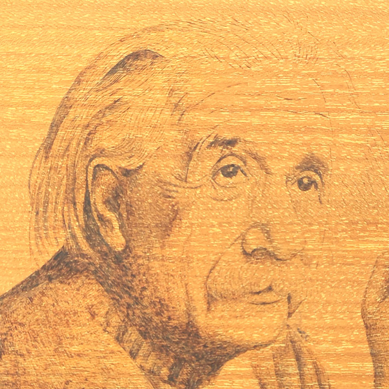 Pyroart  Albert Einstein Portrait Pyrography