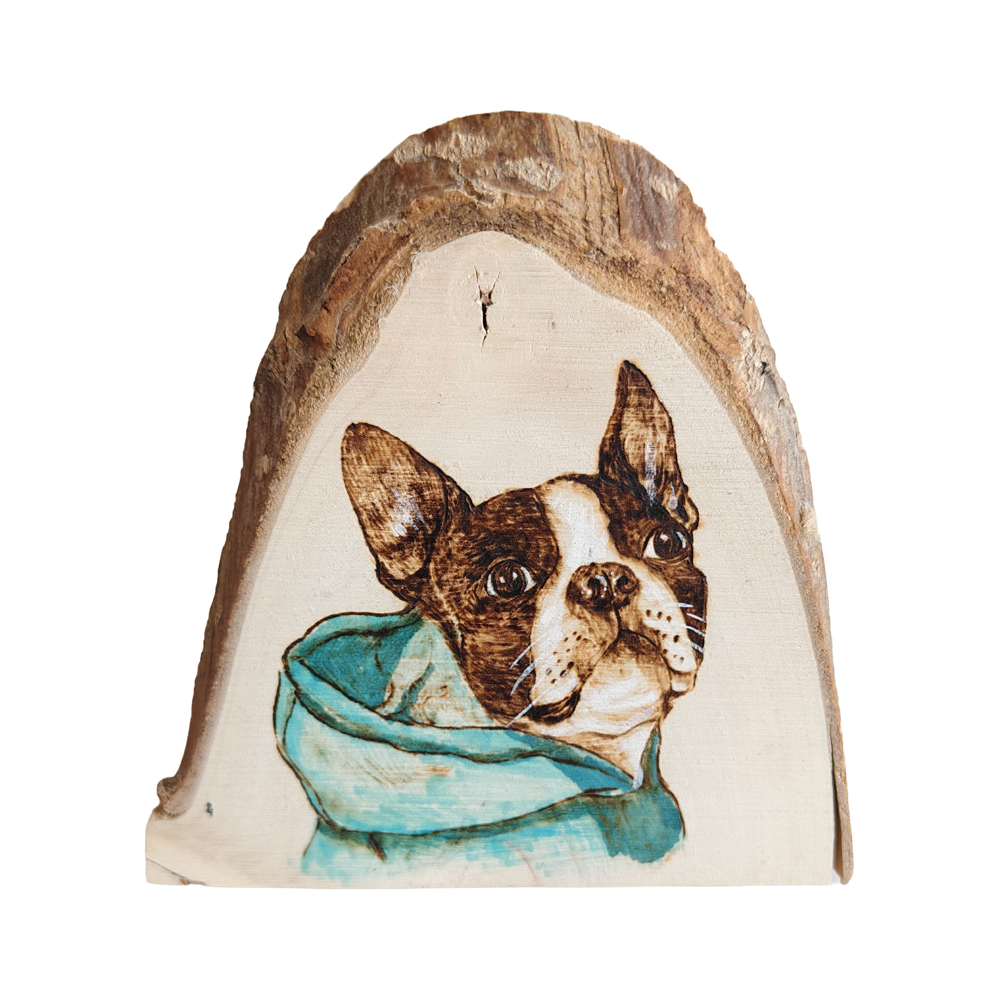 Pyroart Blue Hoodie Boston Terrier Pyrography Artware