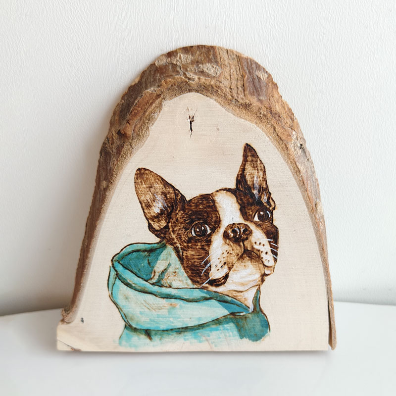 Pyroart Blue Hoodie Boston Terrier Pyrography Artware