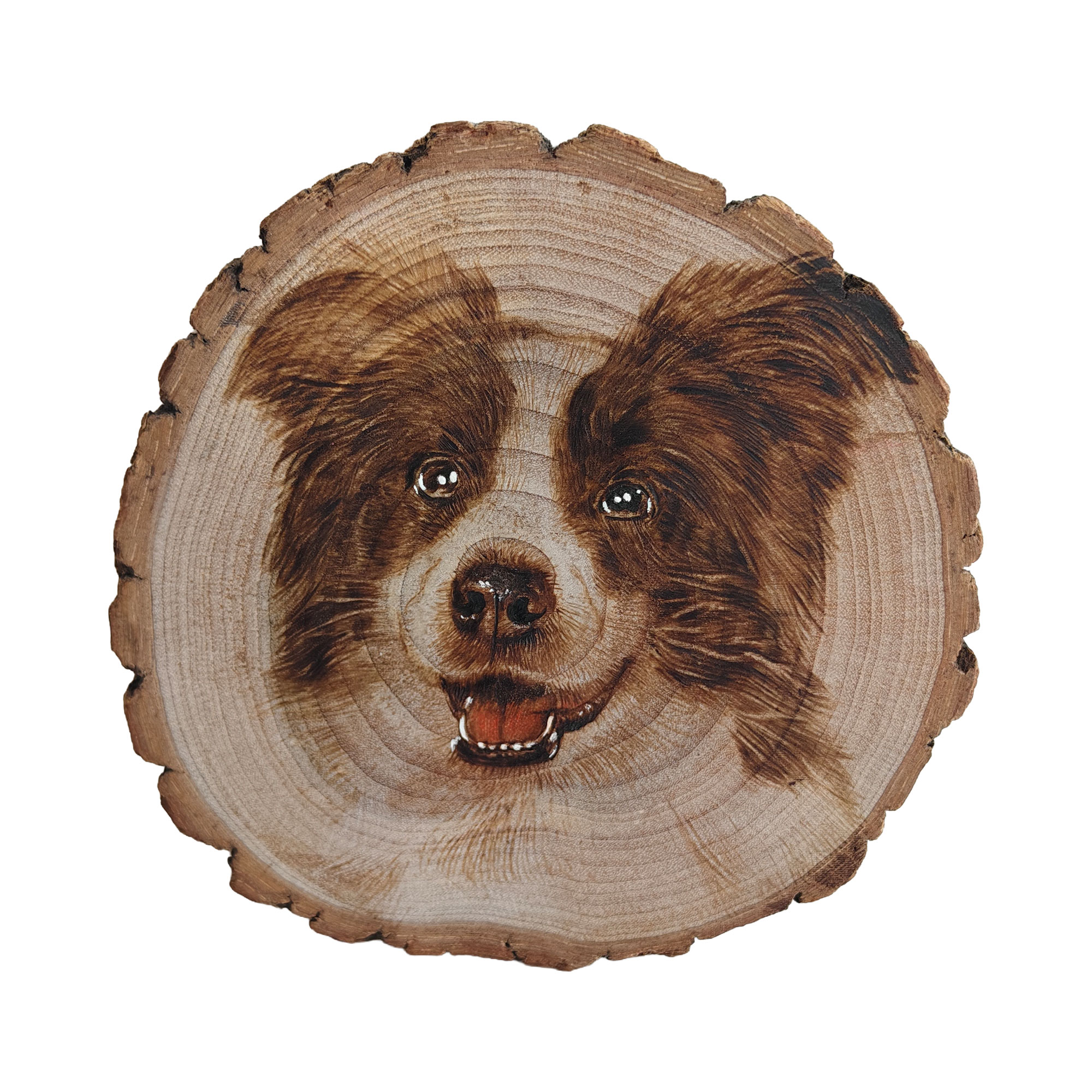 Pyroart Smiling Brown Border Collie Wood Slice Pyrography Artware